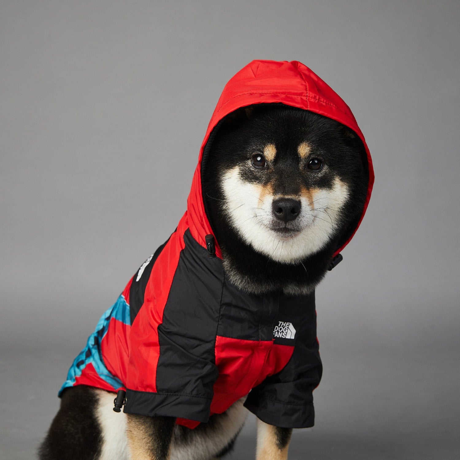 Hundejacke BASS NewYork Wind- und Regenfeste Hundejacke
