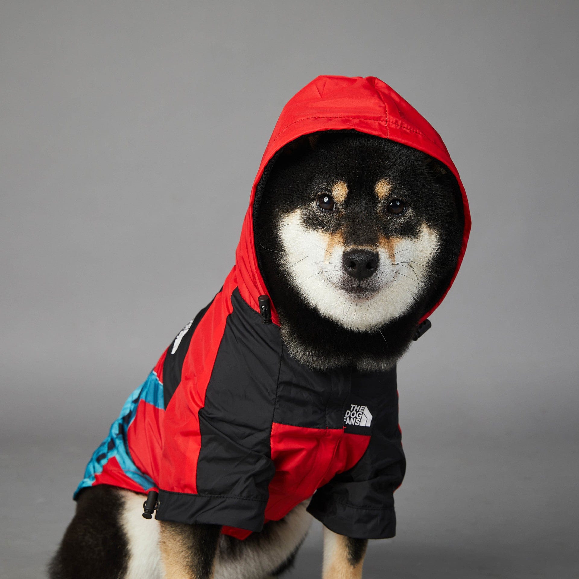 Hundejacke BASS NewYork Wind- und Regenfeste Hundejacke