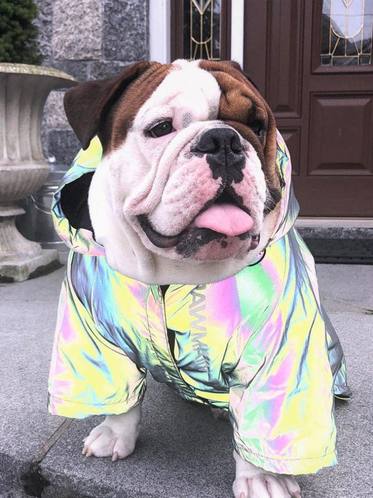 Hundejacke COSMO Reflektierender Winterpullover für Hunde