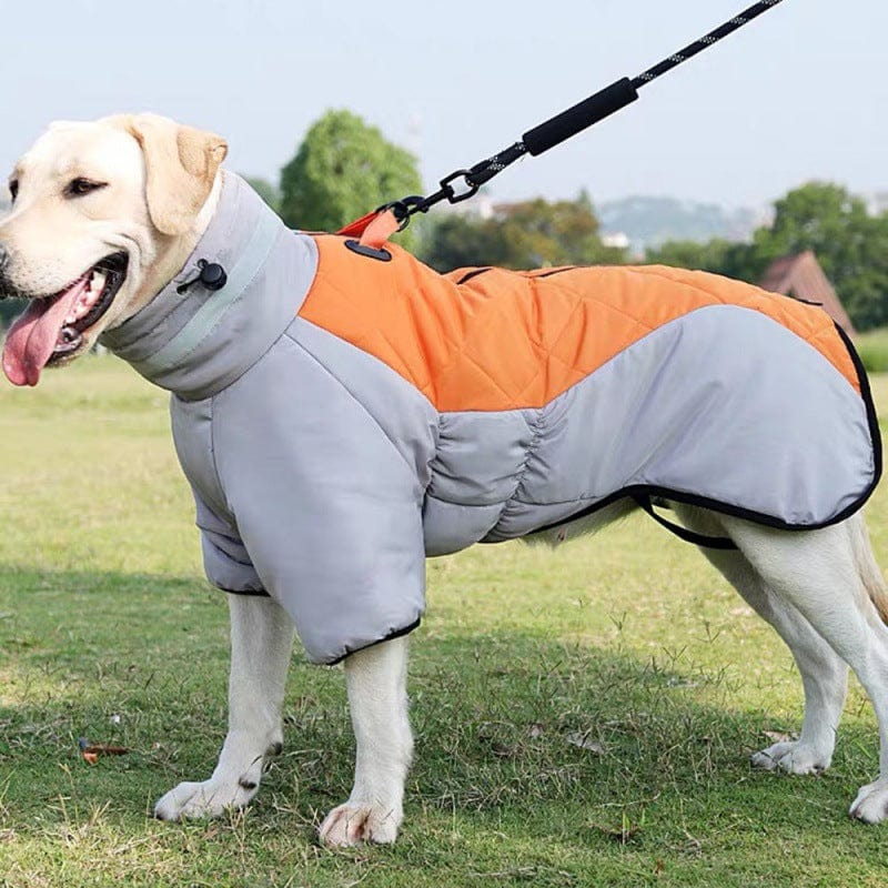 Hundejacke JACKIE Winter Hundeweste mit Hohem Kragen – Winddichte &amp; Wärmende Jacke