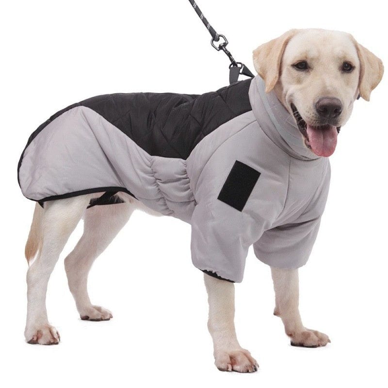 Hundejacke JACKIE Winter Hundeweste mit Hohem Kragen – Winddichte &amp; Wärmende Jacke