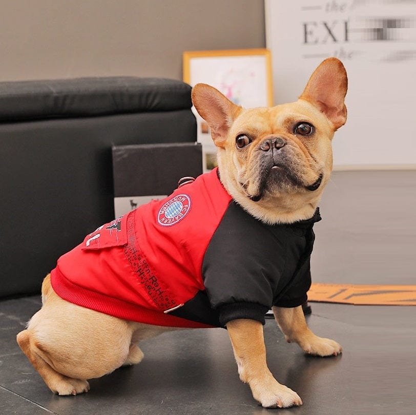 Hundejacke KONG Komfortabler Wintermantel für kleine Hunde