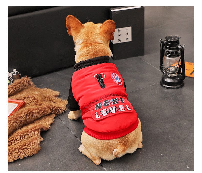Hundejacke KONG Komfortabler Wintermantel für kleine Hunde