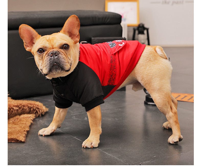 Hundejacke KONG Komfortabler Wintermantel für kleine Hunde