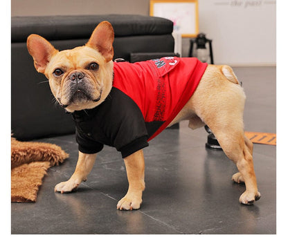 Hundejacke KONG Komfortabler Wintermantel für kleine Hunde
