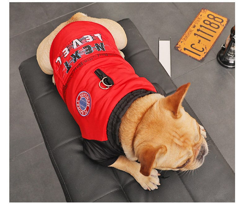Hundejacke KONG Komfortabler Wintermantel für kleine Hunde