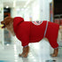 Hundejacke LOA Warm und Stylisch Baumwollmantel für Hunde Red / S
