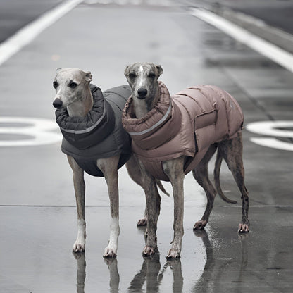 Hundejacke NOVA Nachhaltiger, wasserabweisender Wintermantel für Hunde