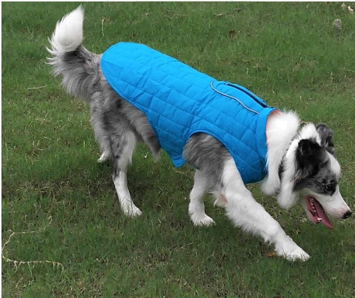 Hundejacke RAVEN Reflektierende &amp; warme Hundejacke