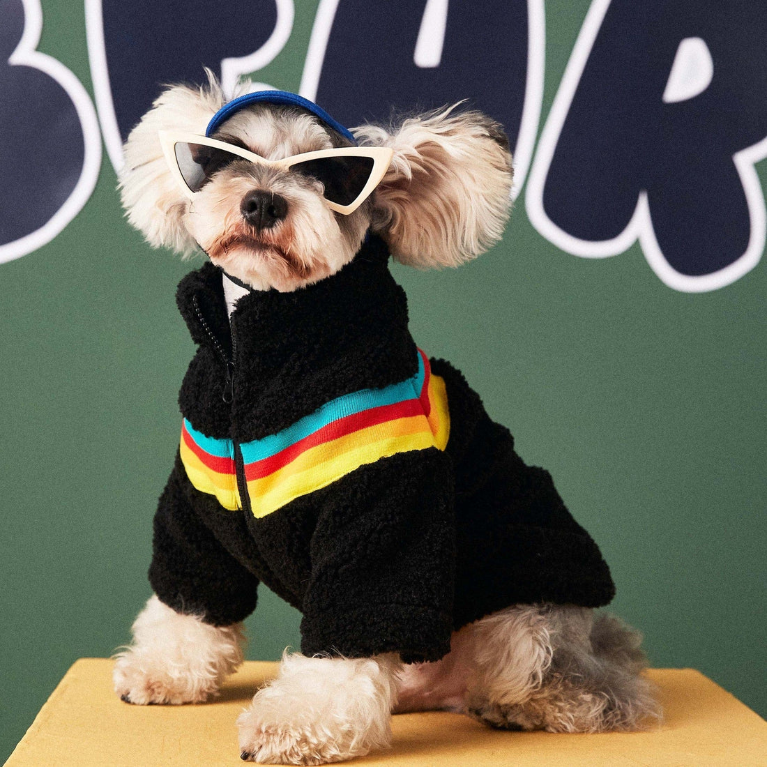 Hundejacke SHERPA Flauschiger Hundemantel – Reißverschluss, warm &amp; trendy Black / S