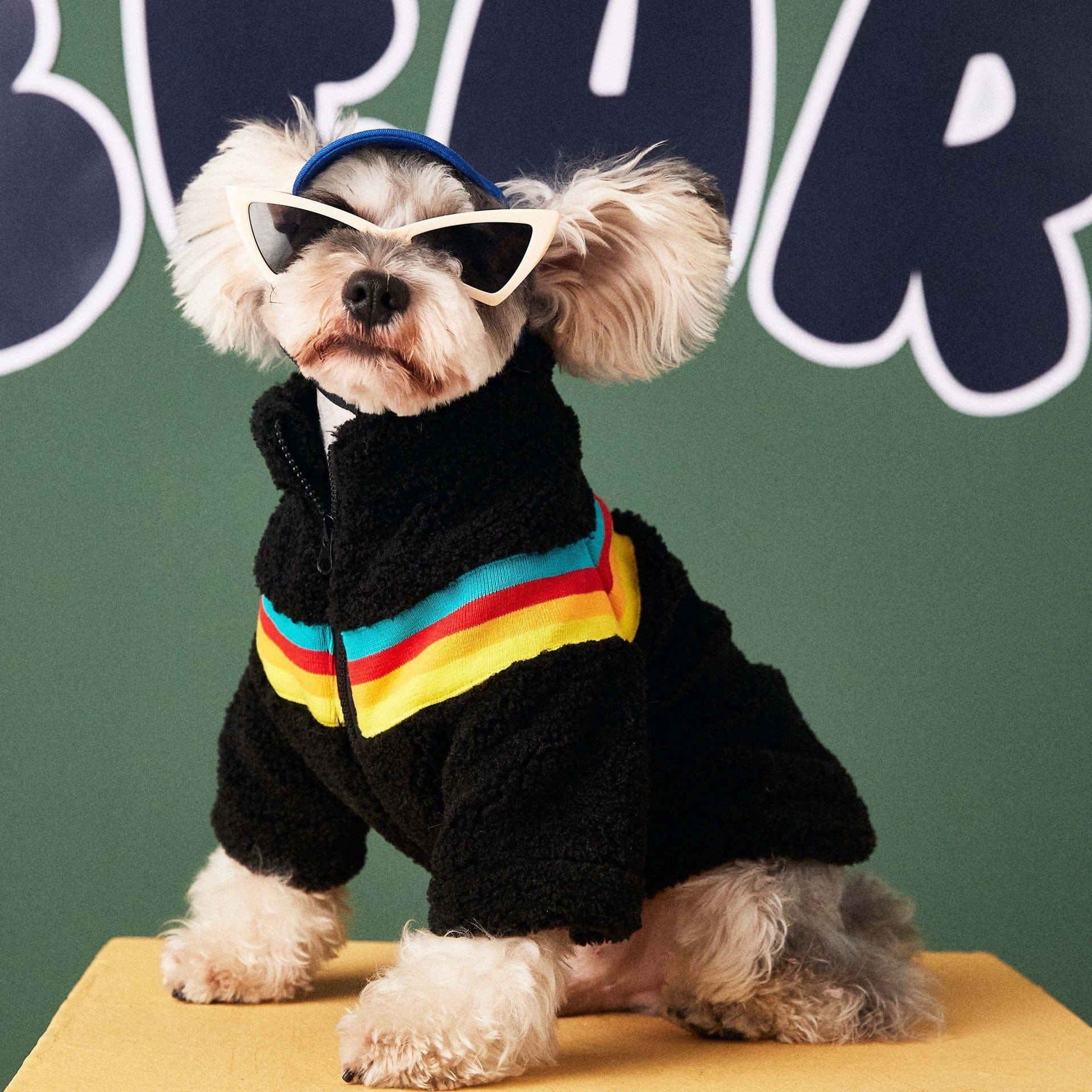 Hundejacke SHERPA Flauschiger Hundemantel – Reißverschluss, warm &amp; trendy Black / S
