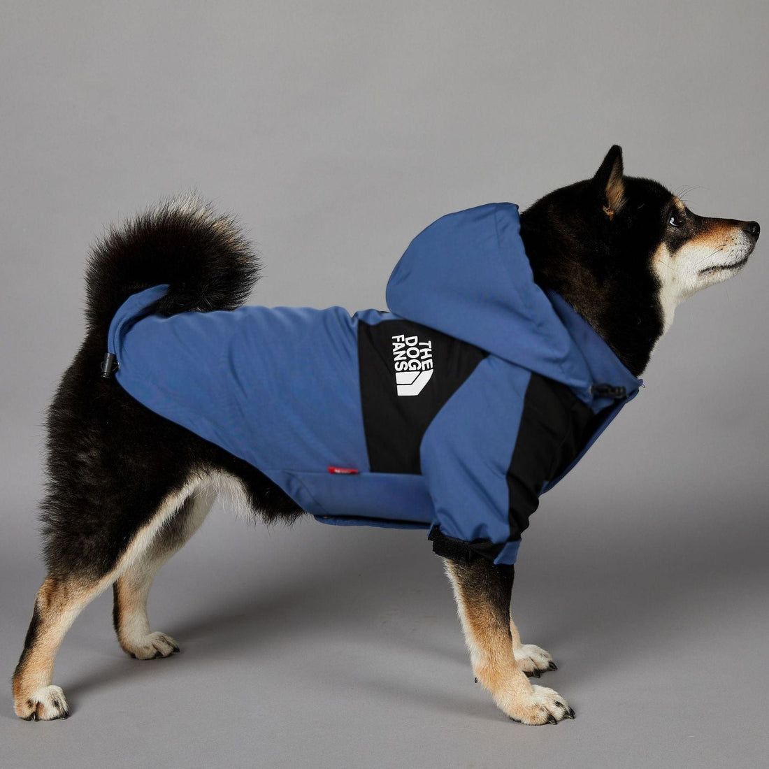 Hundejacke TOTO BLUE Wind- und regensichere Hundejacke