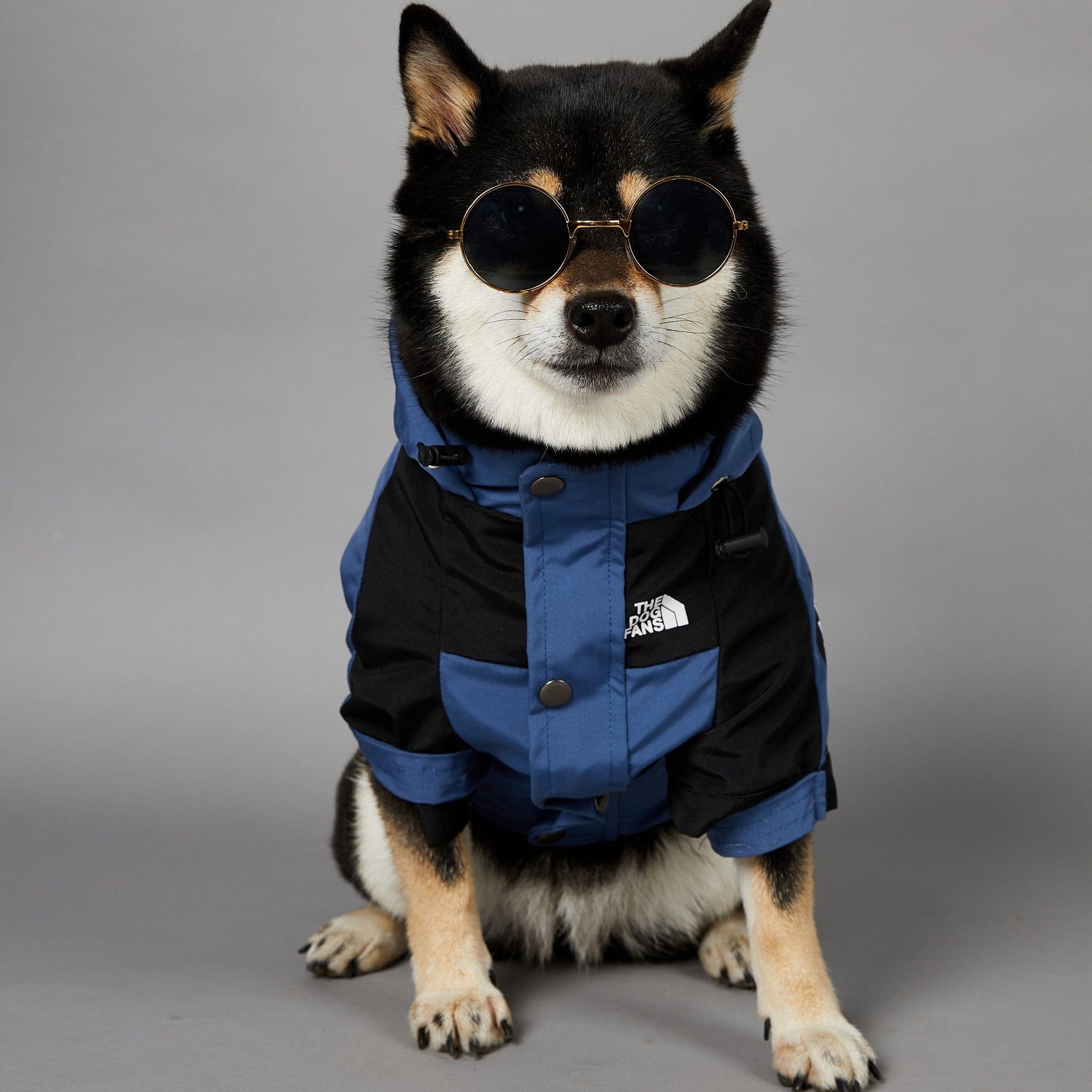 Hundejacke TOTO BLUE Wind- und regensichere Hundejacke