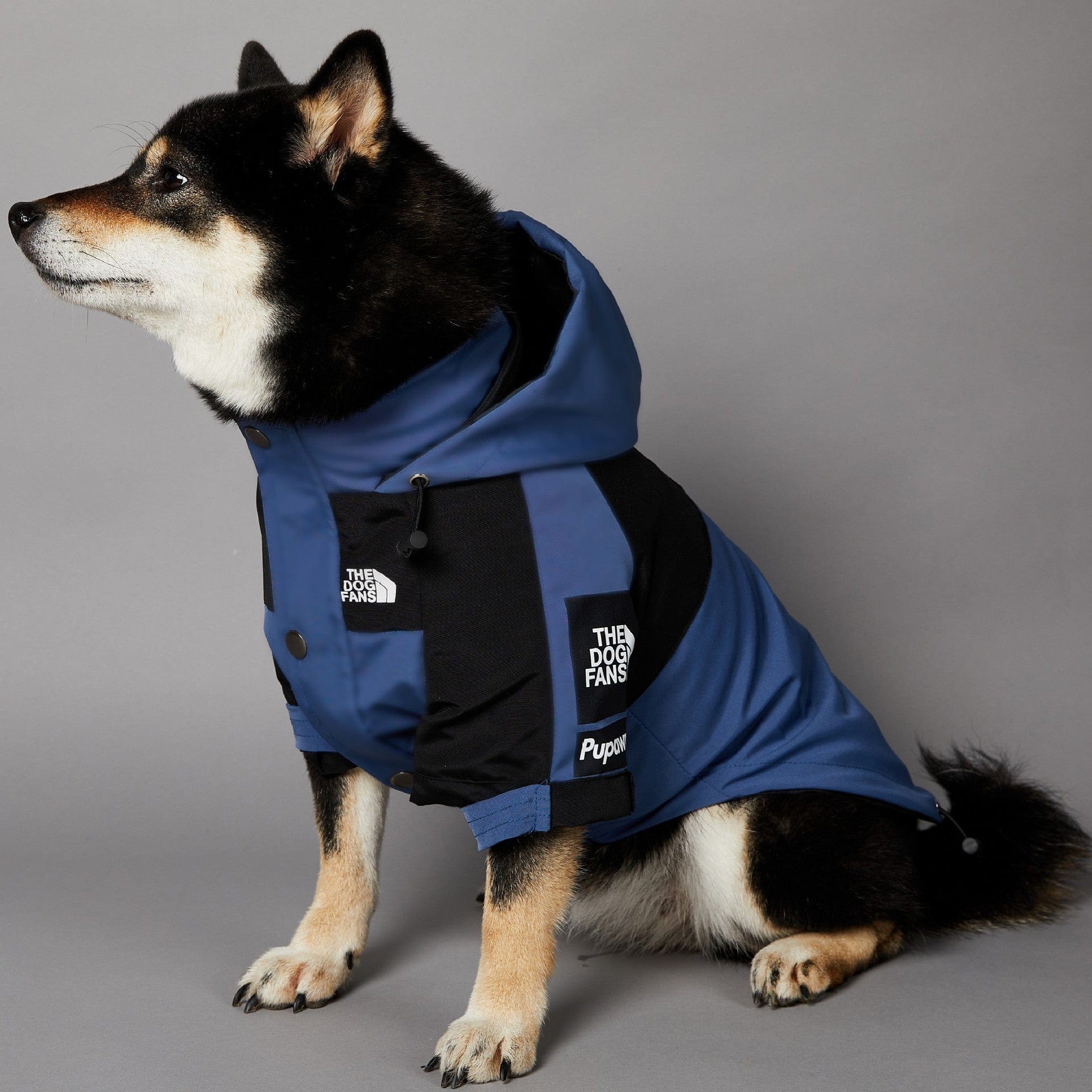 Hundejacke TOTO BLUE Wind- und regensichere Hundejacke S