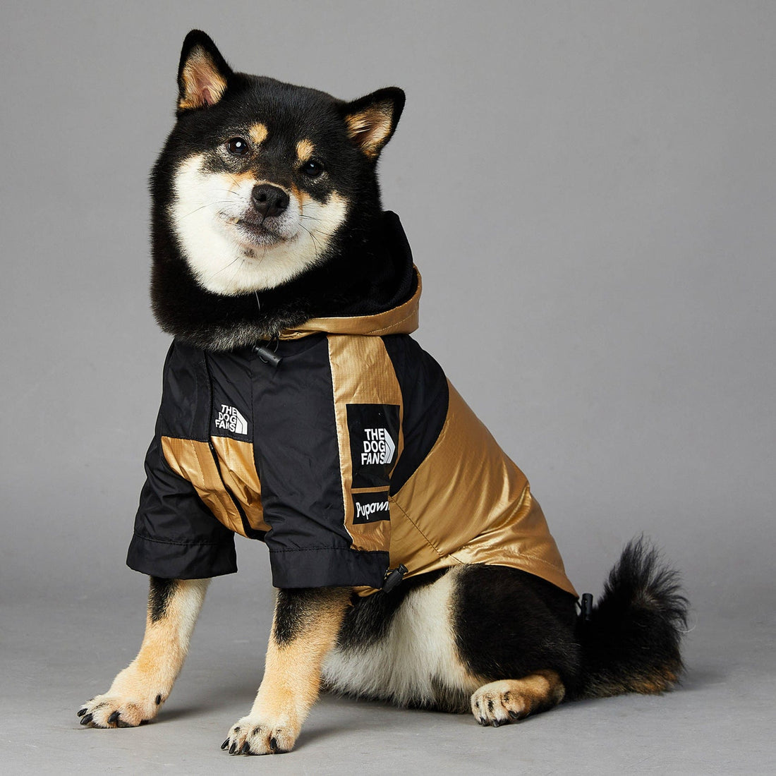 Hundejacke TOTO GOLD Wind- und regensichere Hundejacke Gold / S