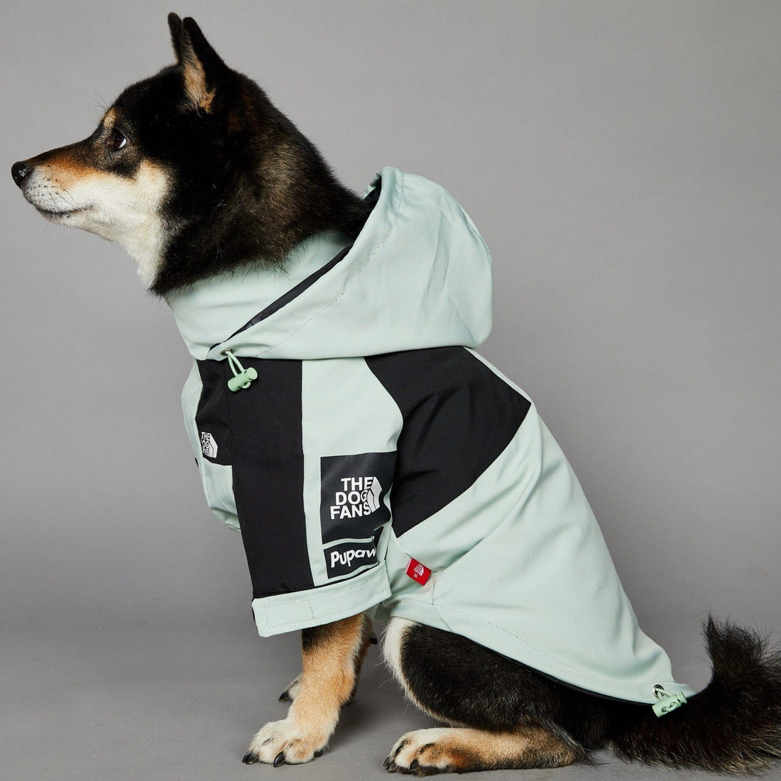 Hundejacke TOTO LIGHT Wind- und regensichere Hundejacke