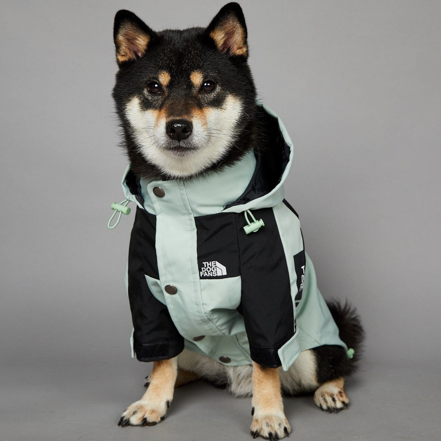 Hundejacke TOTO LIGHT Wind- und regensichere Hundejacke