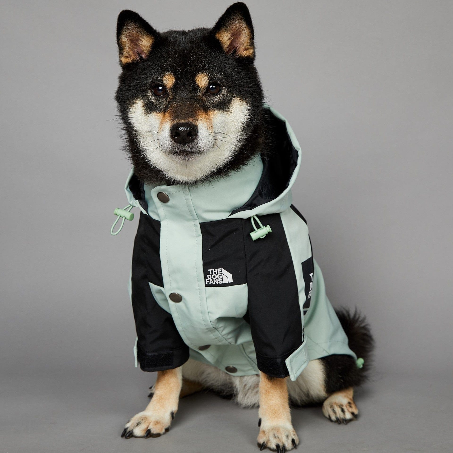 Hundejacke TOTO LIGHT Wind- und regensichere Hundejacke