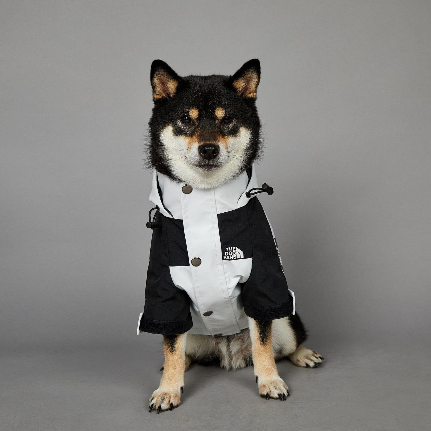 Hundejacke TOTO LIGHT Wind- und regensichere Hundejacke
