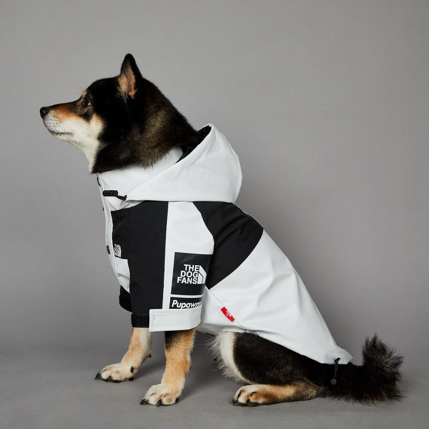 Hundejacke TOTO LIGHT Wind- und regensichere Hundejacke