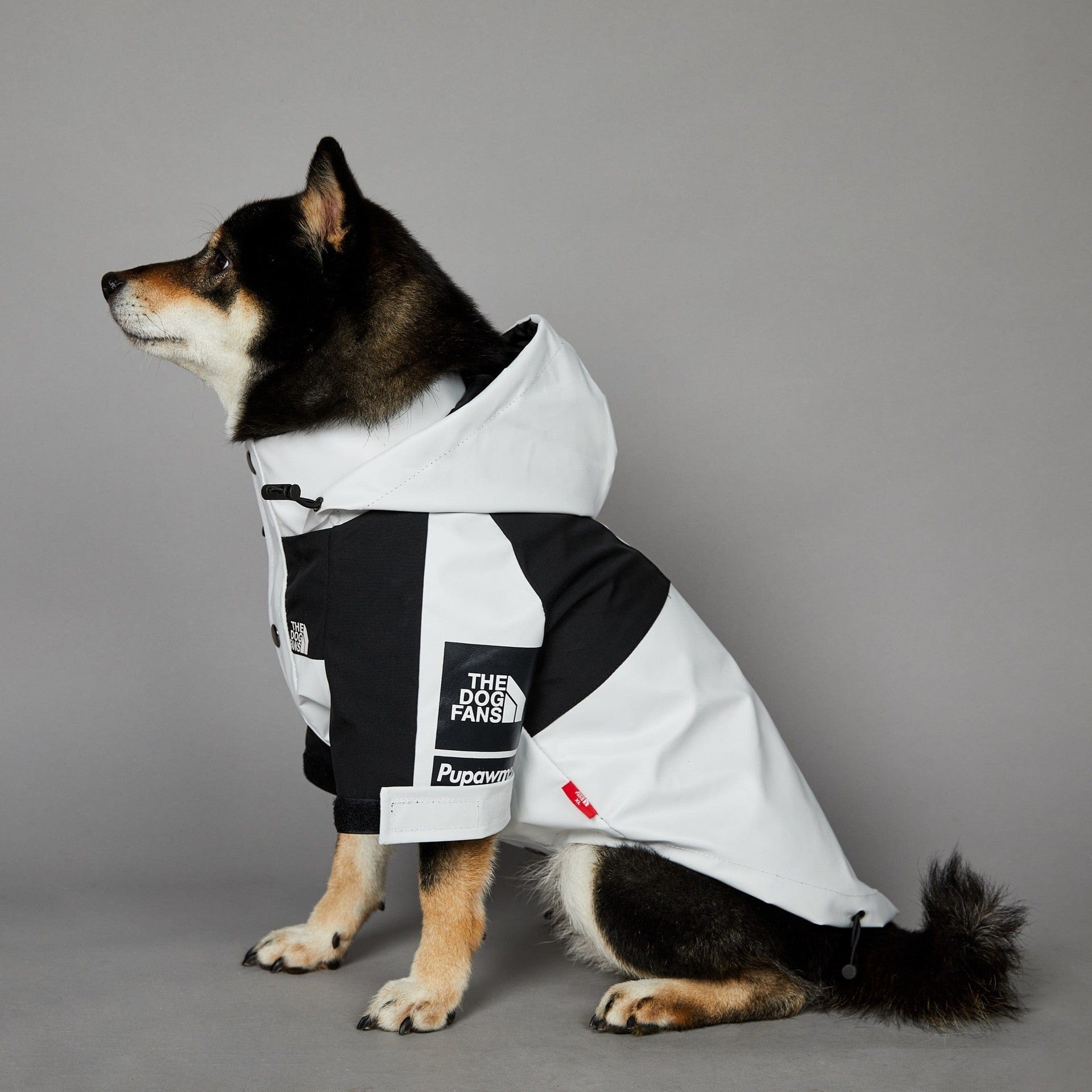 Hundejacke TOTO LIGHT Wind- und regensichere Hundejacke