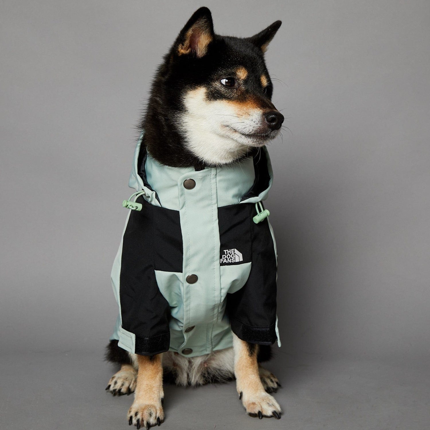 Hundejacke TOTO LIGHT Wind- und regensichere Hundejacke