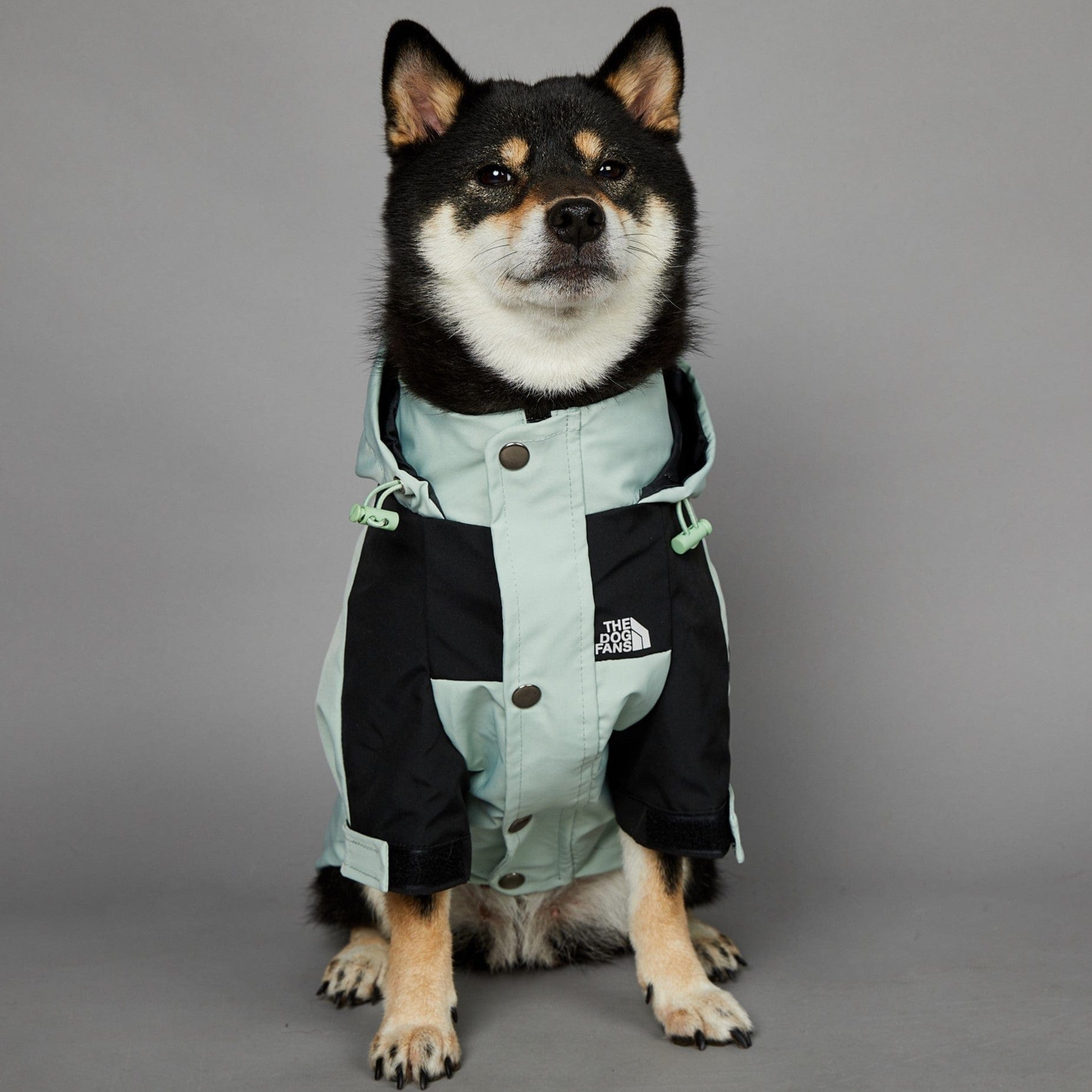 Hundejacke TOTO LIGHT Wind- und regensichere Hundejacke