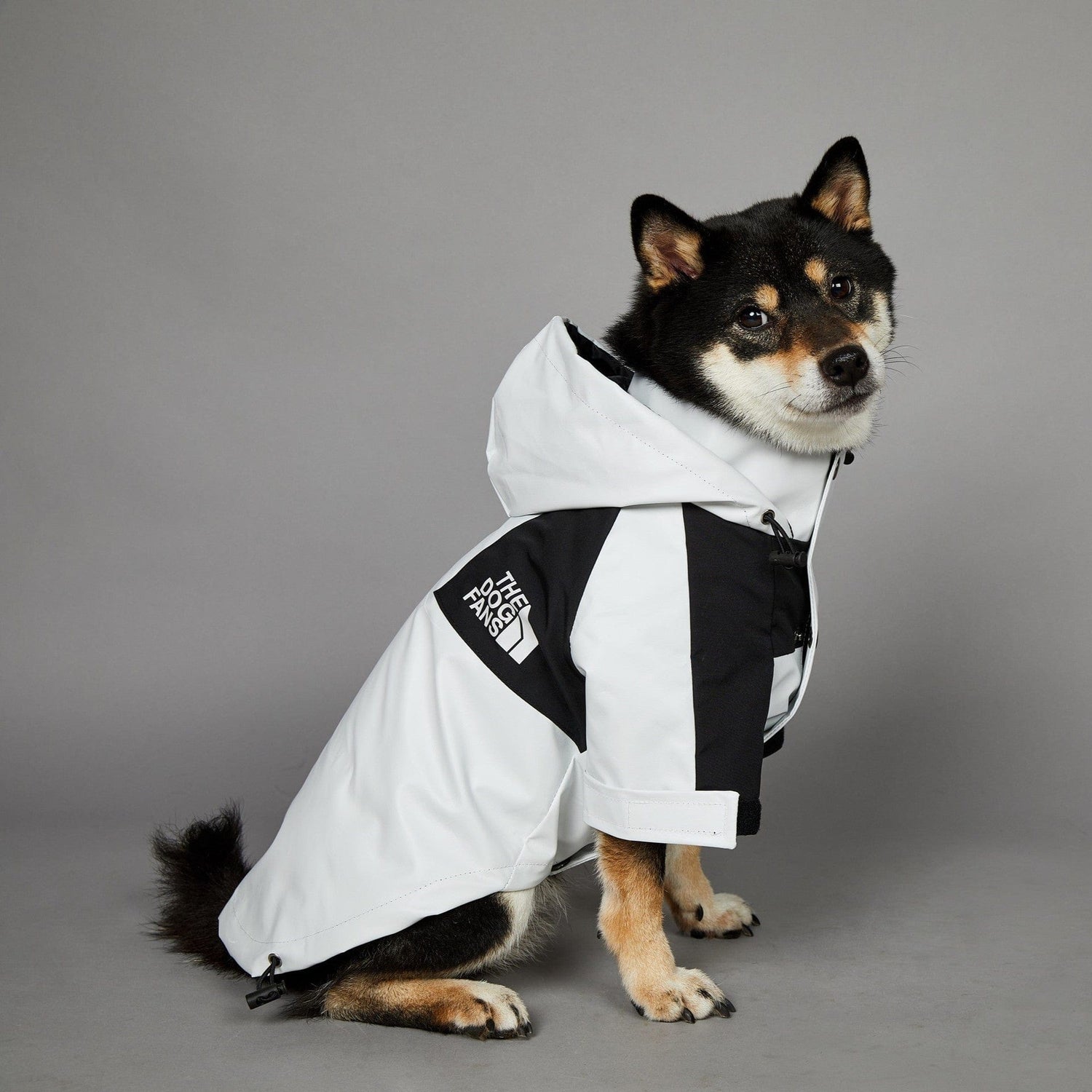Hundejacke TOTO LIGHT Wind- und regensichere Hundejacke
