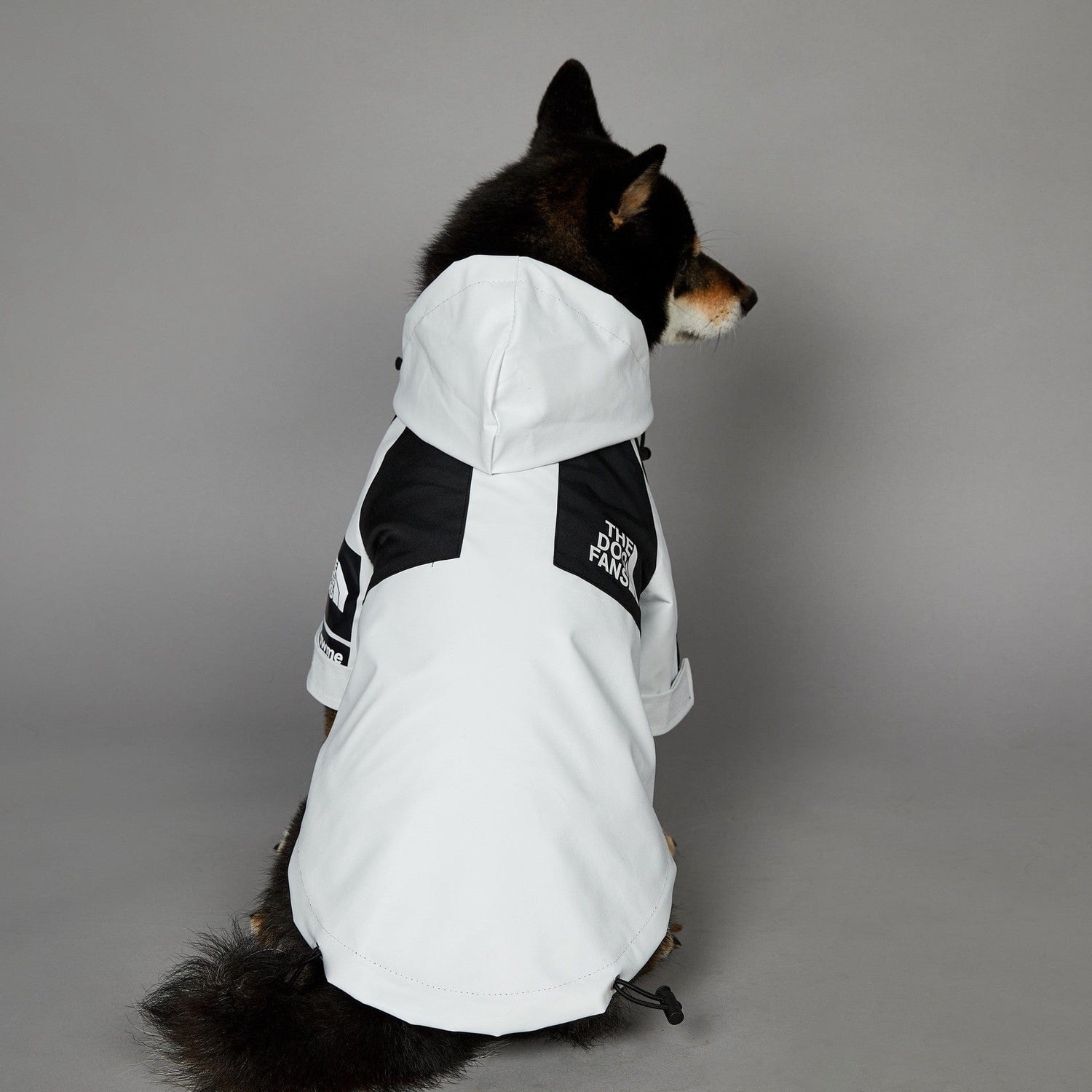 Hundejacke TOTO LIGHT Wind- und regensichere Hundejacke