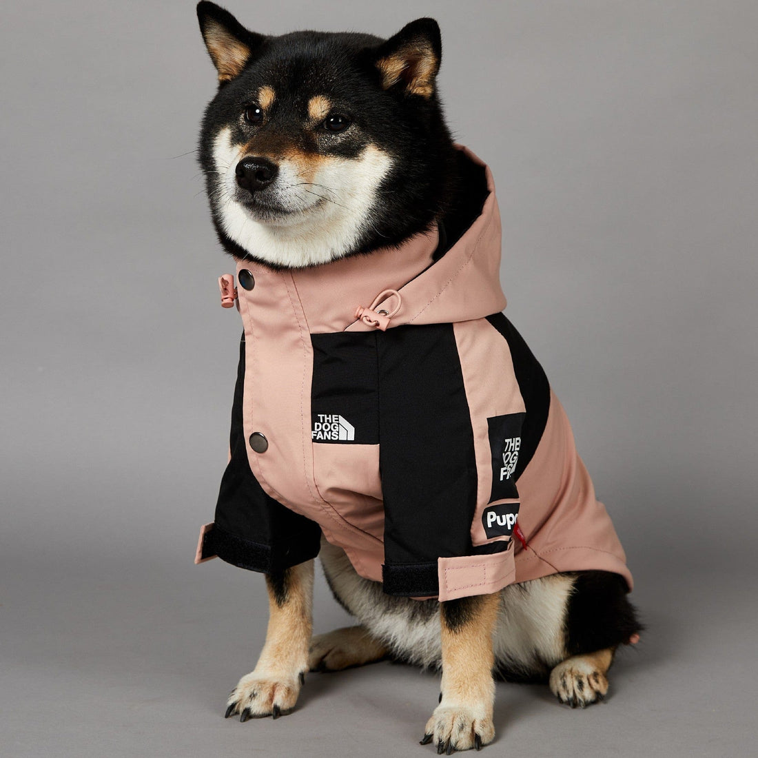 Hundejacke TOTO ROSA Wind- und regensichere Hundejacke