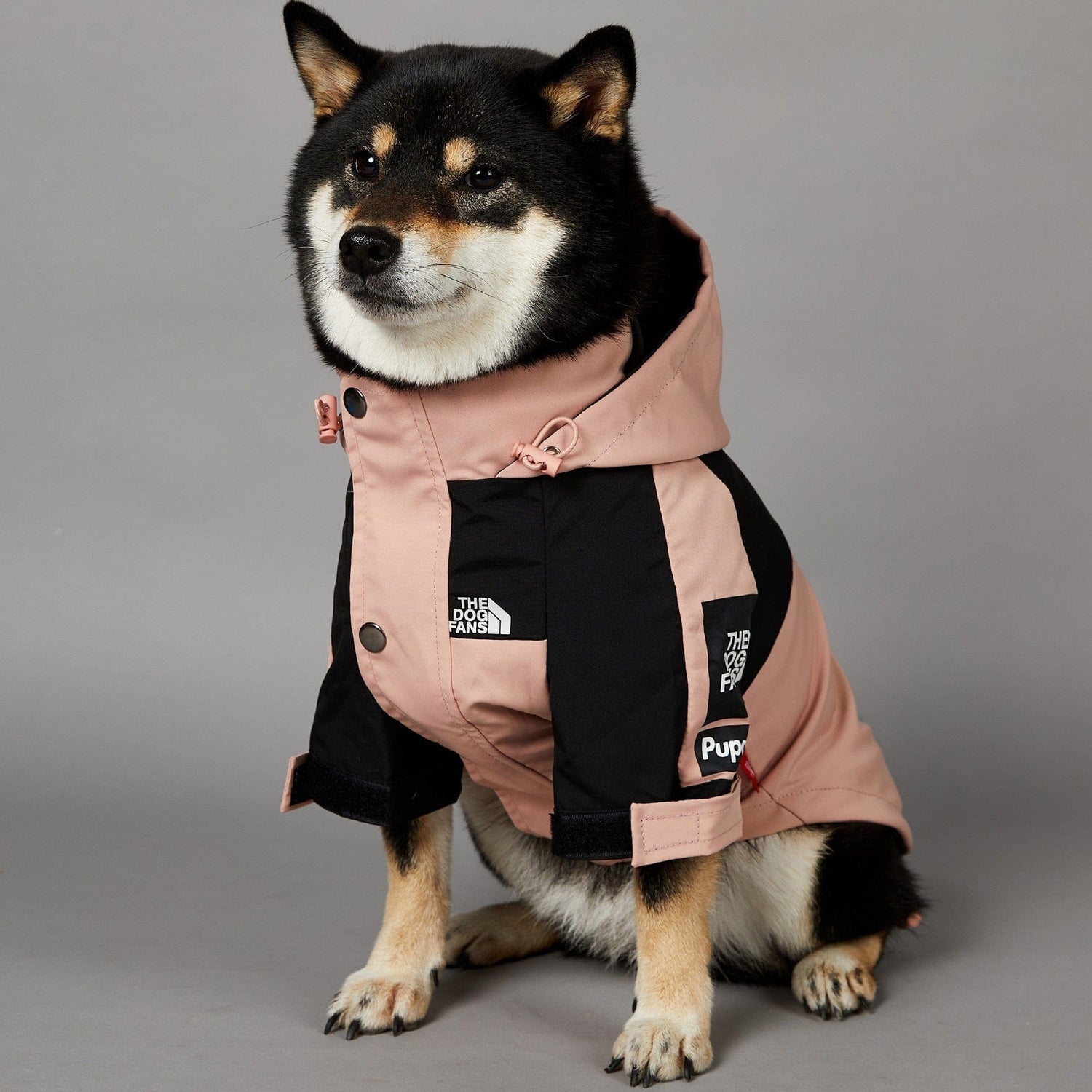 Hundejacke TOTO ROSA Wind- und regensichere Hundejacke
