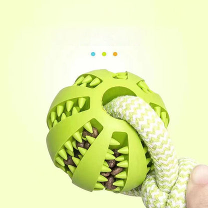 Hundekauspielzeug TREAT Kauspielzeug für Hunde – Zahnpflege &amp; Spielspaß in einem