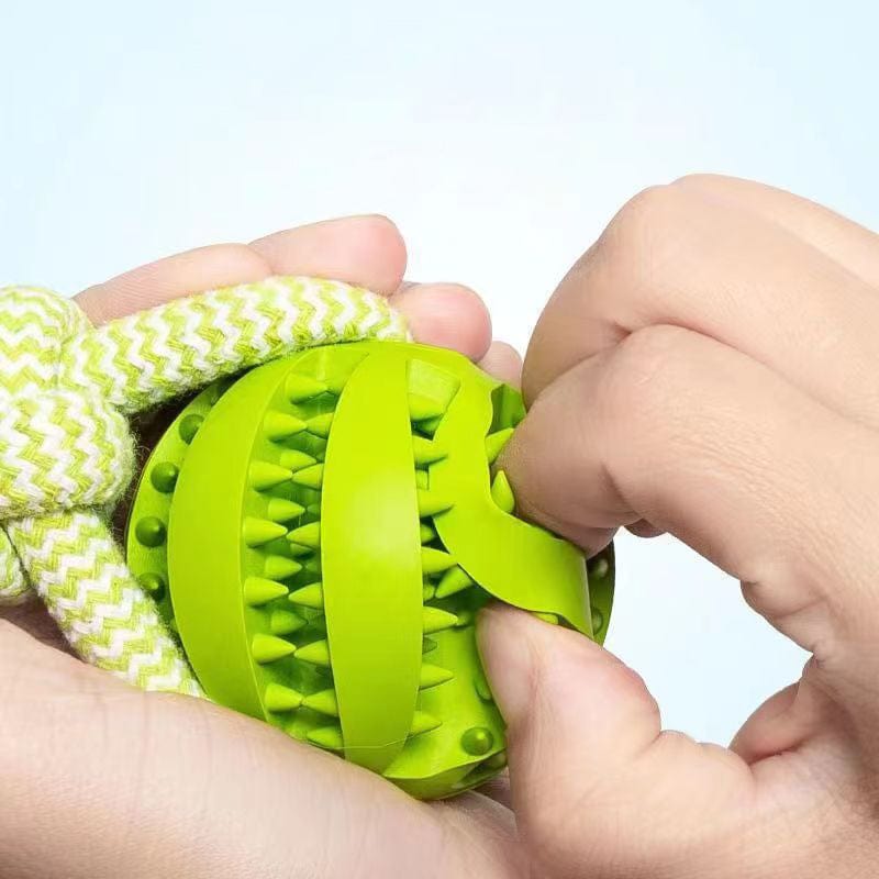 Hundekauspielzeug TREAT Kauspielzeug für Hunde – Zahnpflege &amp; Spielspaß in einem