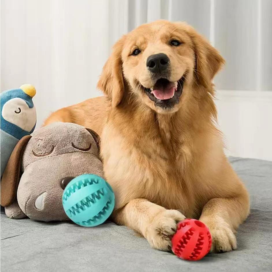 Hundekauspielzeug TREAT Kauspielzeug für Hunde – Zahnpflege &amp; Spielspaß in einem