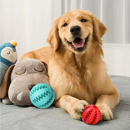 Hundekauspielzeug TREAT Kauspielzeug für Hunde – Zahnpflege &amp; Spielspaß in einem