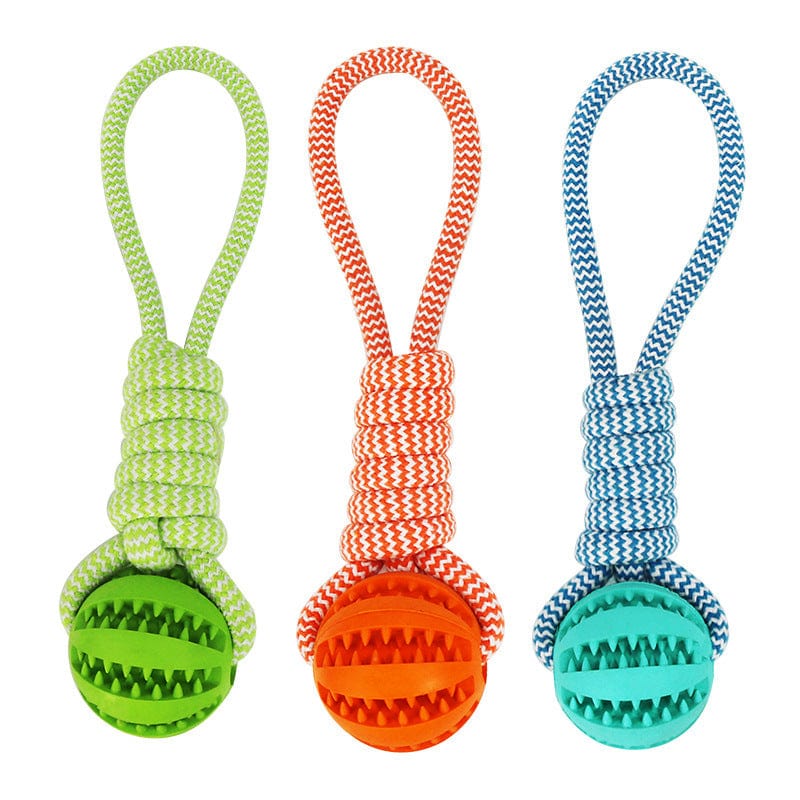 Hundekauspielzeug TREAT Kauspielzeug für Hunde – Zahnpflege &amp; Spielspaß in einem