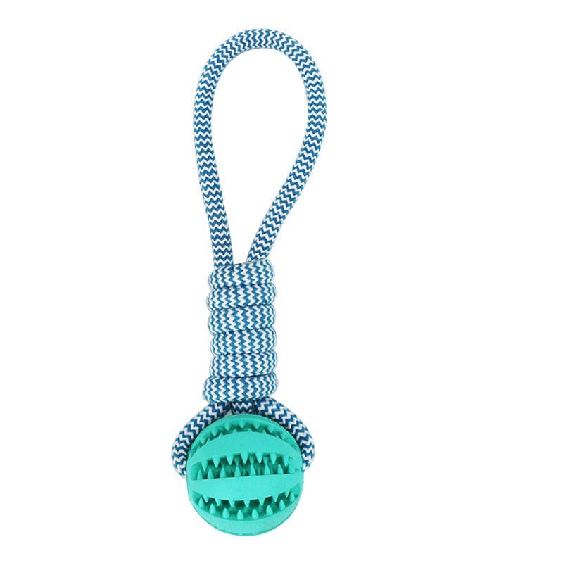 Hundekauspielzeug TREAT Kauspielzeug für Hunde – Zahnpflege &amp; Spielspaß in einem Blue