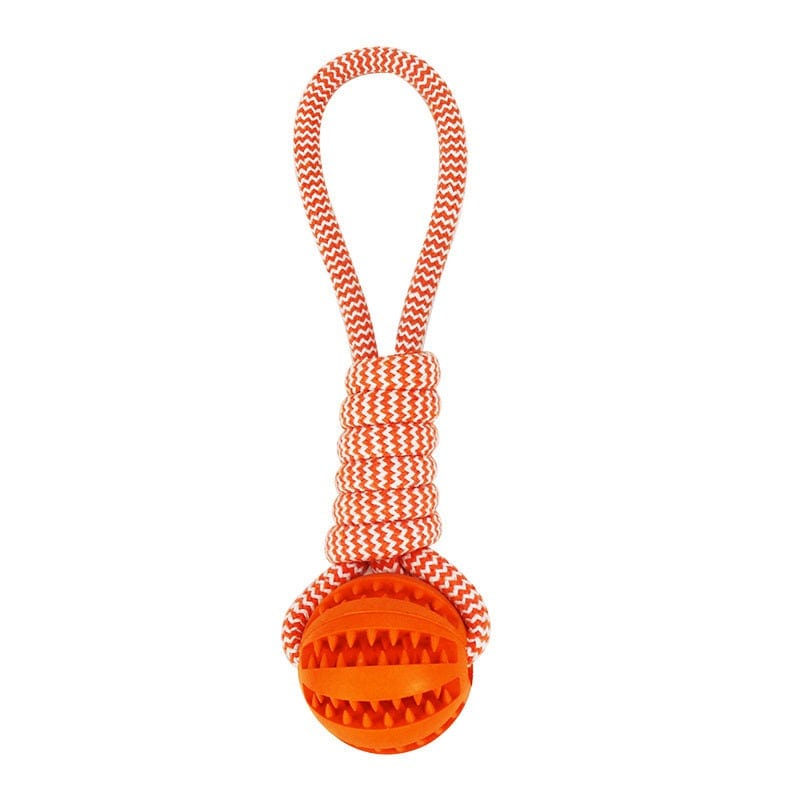 Hundekauspielzeug TREAT Kauspielzeug für Hunde – Zahnpflege &amp; Spielspaß in einem Orange