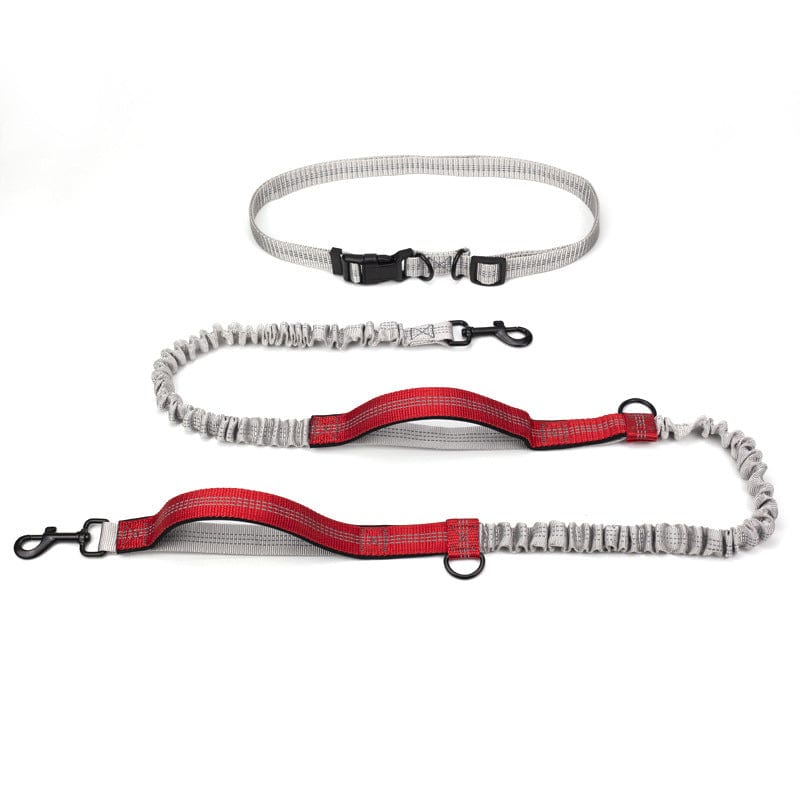 Hundeleine ACTIVE Freihand-Laufleine Pro Cherry Red