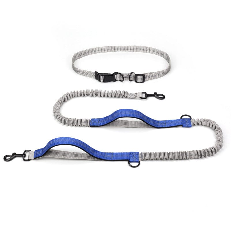 Hundeleine ACTIVE Freihand-Laufleine Pro Royal Blue