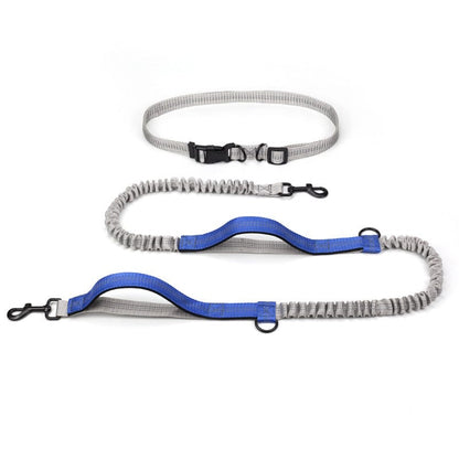 Hundeleine ACTIVE Freihand-Laufleine Pro Royal Blue