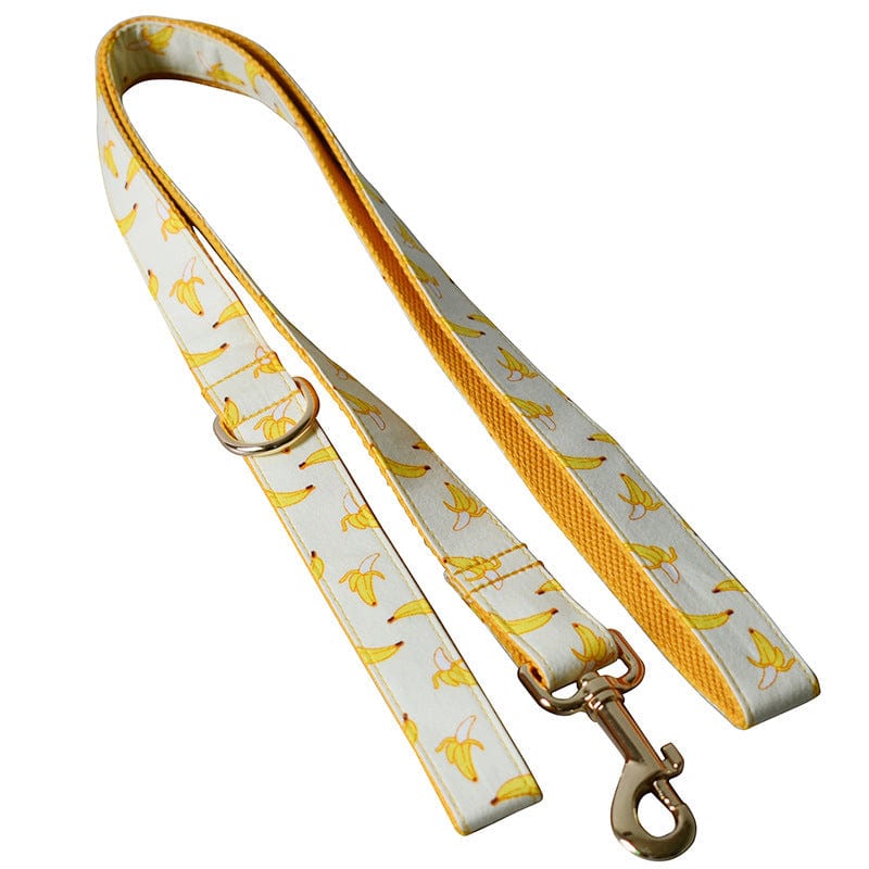 Hundeleine CLEO BANANA Premium Hundeleine + Halsband