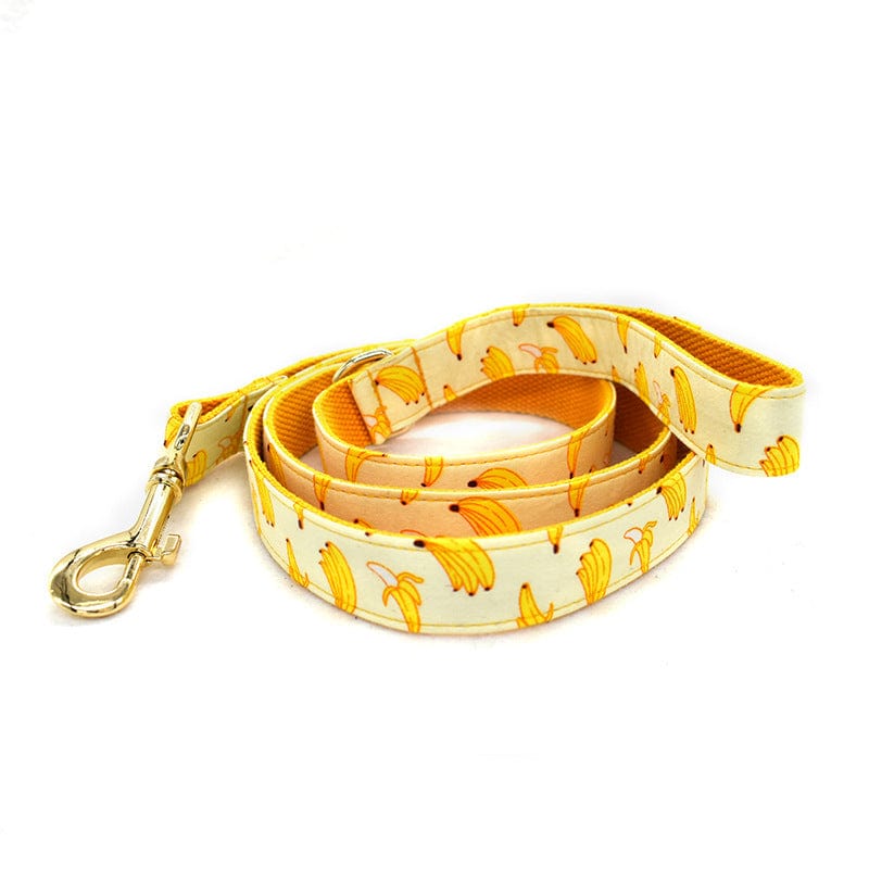 Hundeleine CLEO BANANA Premium Hundeleine + Halsband Leine / XS
