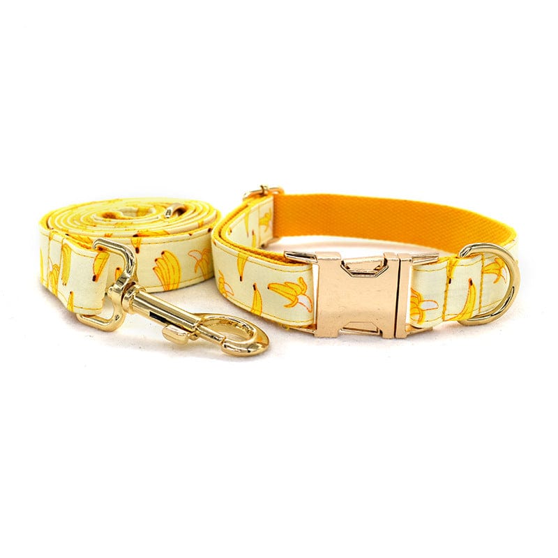 Hundeleine CLEO BANANA Premium Hundeleine + Halsband Set A / XS