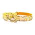 Hundeleine CLEO BANANA Premium Hundeleine + Halsband Set A / XS
