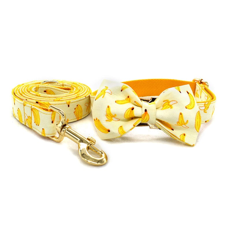 Hundeleine CLEO BANANA Premium Hundeleine + Halsband Set B / XS