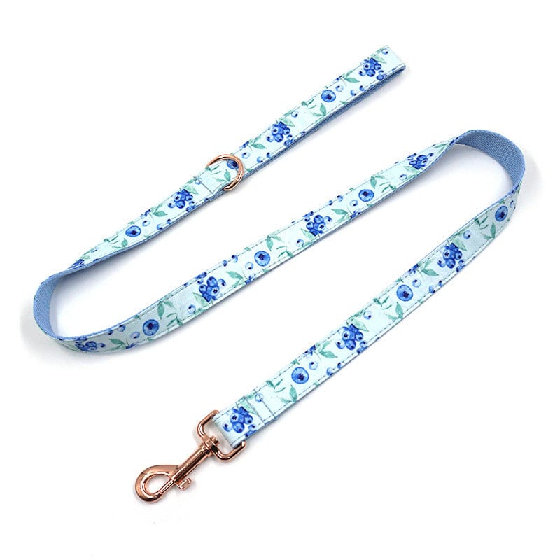 Hundeleine CLEO BERRY Premium Velvet Hundeleine + Halsband Leine / XS