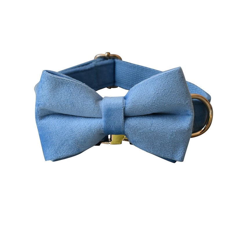 Hundeleine CLEO BLUE Premium Velvet Hundeleine + Halsband Halsband mit Fliege / XS