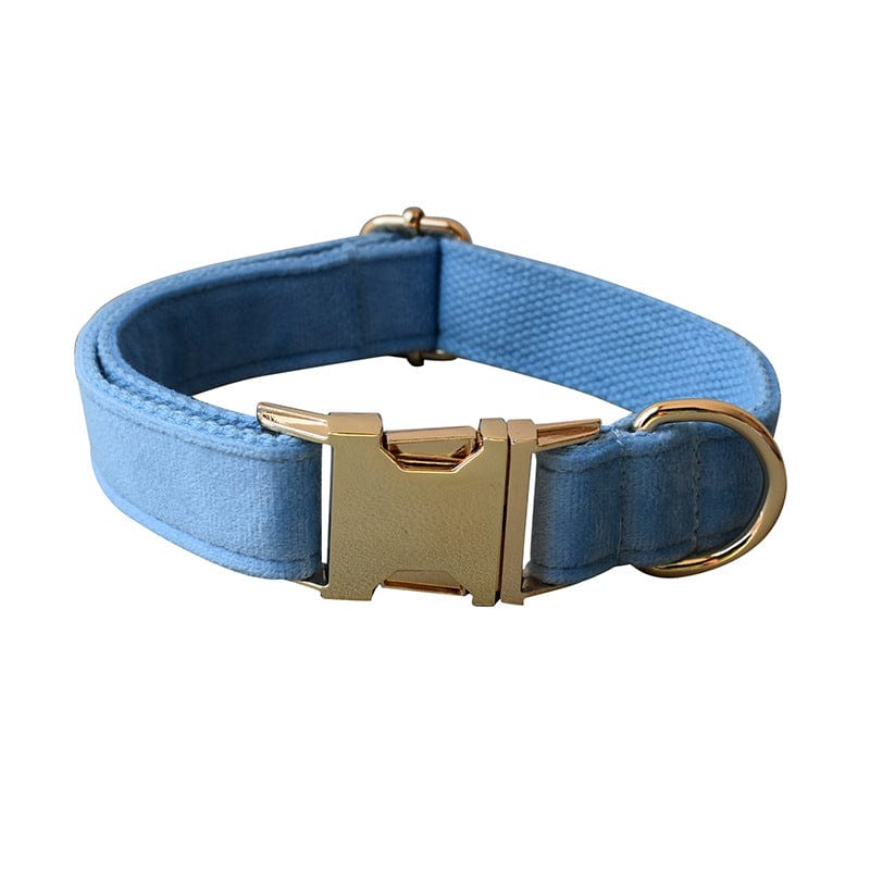 Hundeleine CLEO BLUE Premium Velvet Hundeleine + Halsband Halsband / XS