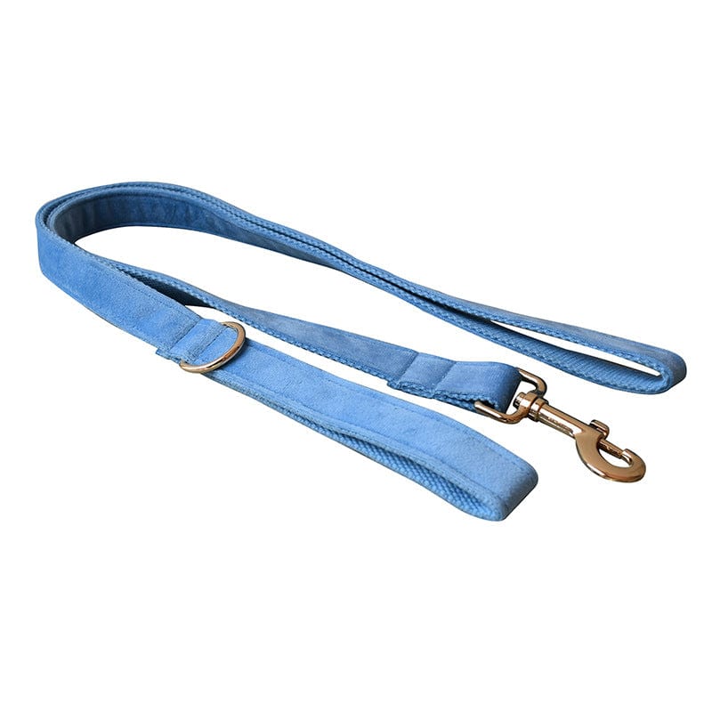 Hundeleine CLEO BLUE Premium Velvet Hundeleine + Halsband Leine / XS